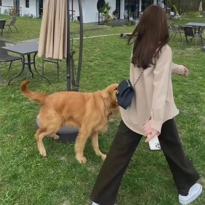 达菲